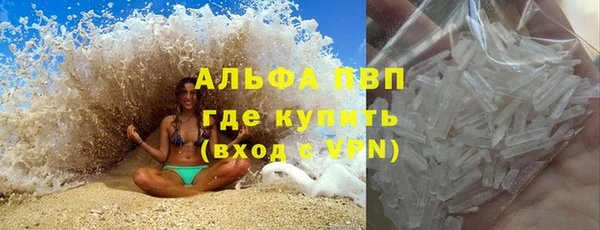 ешки Аркадак