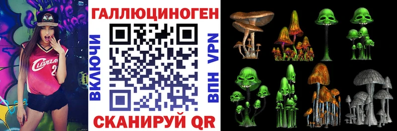 Псилоцибиновые грибы прущие грибы  купить наркотики цена  блэк спрут ссылки  Вязники 